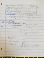 ACC 201: End of ch. 3 notes