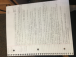 Week 4 of notes