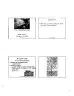 FDNS 2100 Chapter 4 Notes Part One