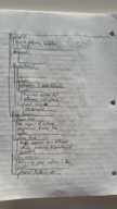 Sociology week 5 notes