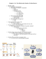 Chapter 16 Notes
