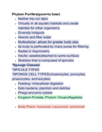 zoology 1604