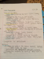 Child and Adolescent Development 2/8/16 Notes 