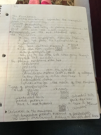 Bio Week 5 notes