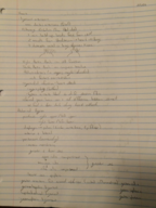 BMS Heart & Abdominal Region