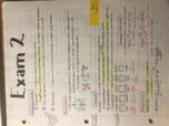 Week 5 Notes