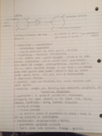 Notes from the Week of 2/8