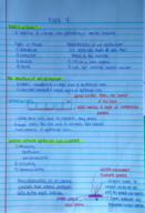Week 4 BMS 300 Notes 