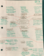 A&P | Week 4