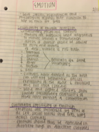 PSYC 2606 Week 4 notes