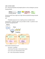 Biology Unit 3 Study Guide