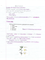 Dr O'Quin Notes 2/12