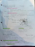 HD - Weel 1 Notes Continued 