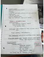 Public Speaking Lecture 1 Notes