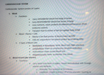 Health Psychology Exam 2 Study Guide