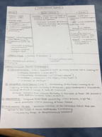 Health Psychology - Study Guide #2 - Exam 2