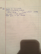 COMM 2330: Week Notes