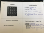 Genetics Notes