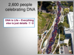 Chapter 5- Genetics and DNA Replication