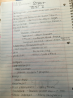 HLED notes for 2/15-2/19