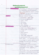 Pol Sci 6B - Sadiq (Macropolitics)