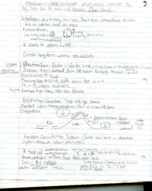 Hon Geog 11: World Regional Geography