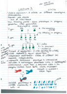 Lecture 3 for Genetics