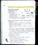 BioSc0160 Analyzing and Engineering Genes