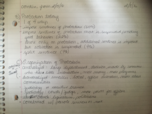 Intro. to Correction Week 5 Notes