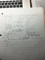 Phys/Ast 110 General Physics