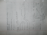 SOC 265