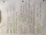 Personal Nutrion Week 1-4 Notes 