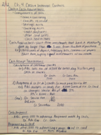 Ch. 4: Cash and Internal Controls Notes