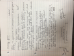 Week 4 Notes