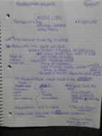 Greasy Lake Notes