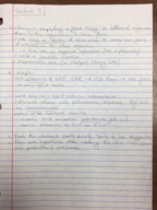 Week 3 Notes