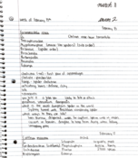 Week of February 15th notes