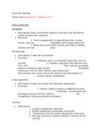 Exam 2 Material ( part 2)