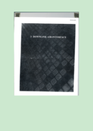 downlink air interface