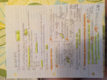 Psych 2220 Midterm 2 Review Quizzes (4/5)