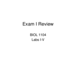 Lab Exam 1, Bio Exam 2