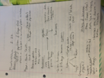 Chapter 5, Lectures 2-22/26