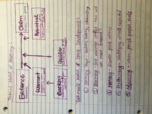 CJ 203: Communication in Group Work