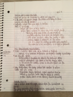 Genetics Week 11 Notes