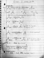 Exam 3 Study Guide
