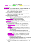 Genetics Exam 3 Study Guide