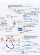 Extra bio notes from 4/7