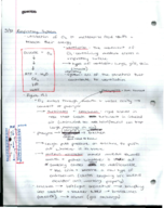 BI 315 Notes 3/31-4/7