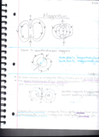 Chapter 8 Study Guide