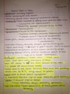 Greeks Week 11 Notes